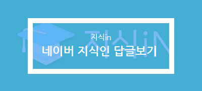 지식인 바로가기
